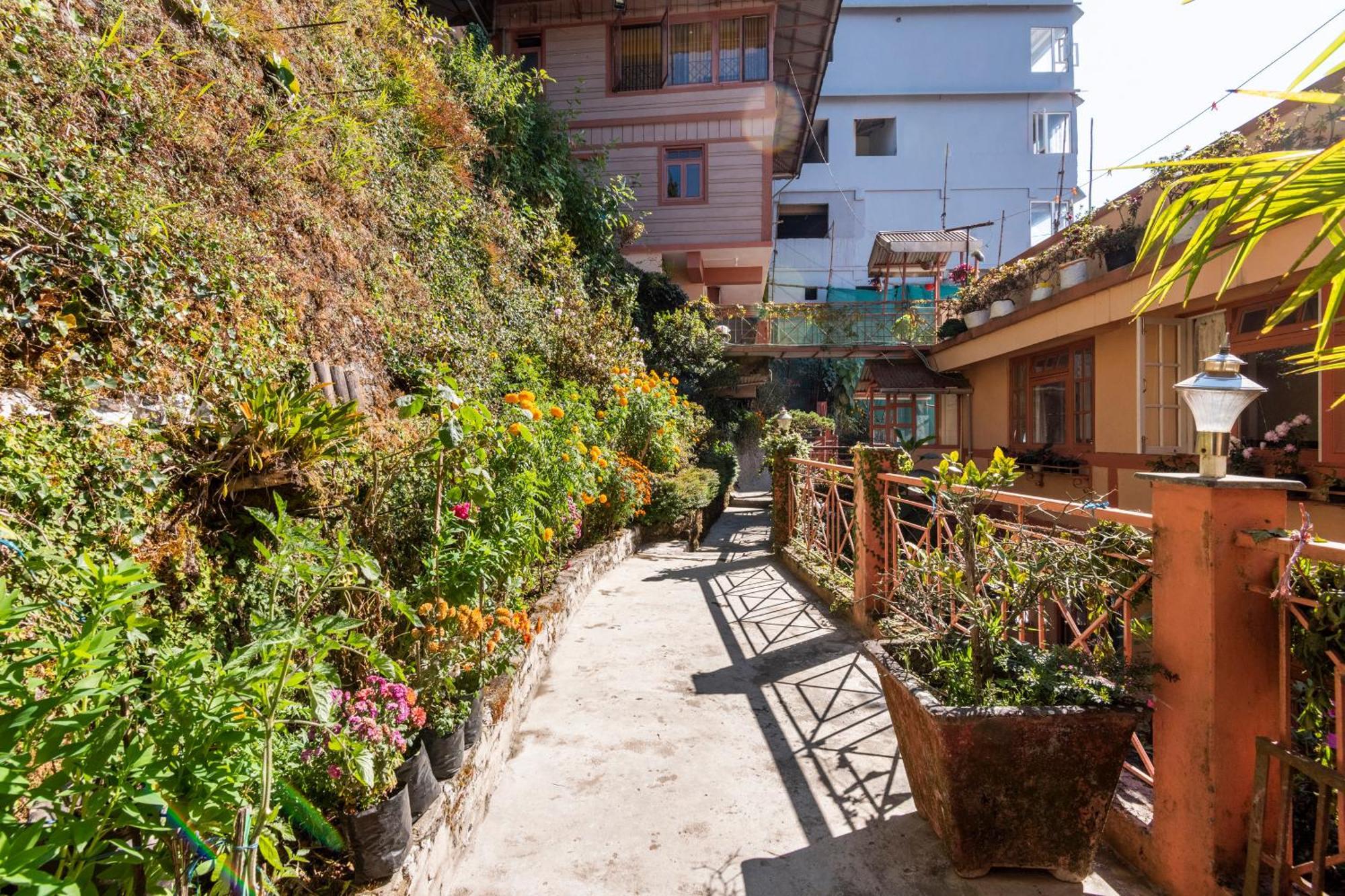 Little Singamari Home Stay Darjeeling  Eksteriør billede