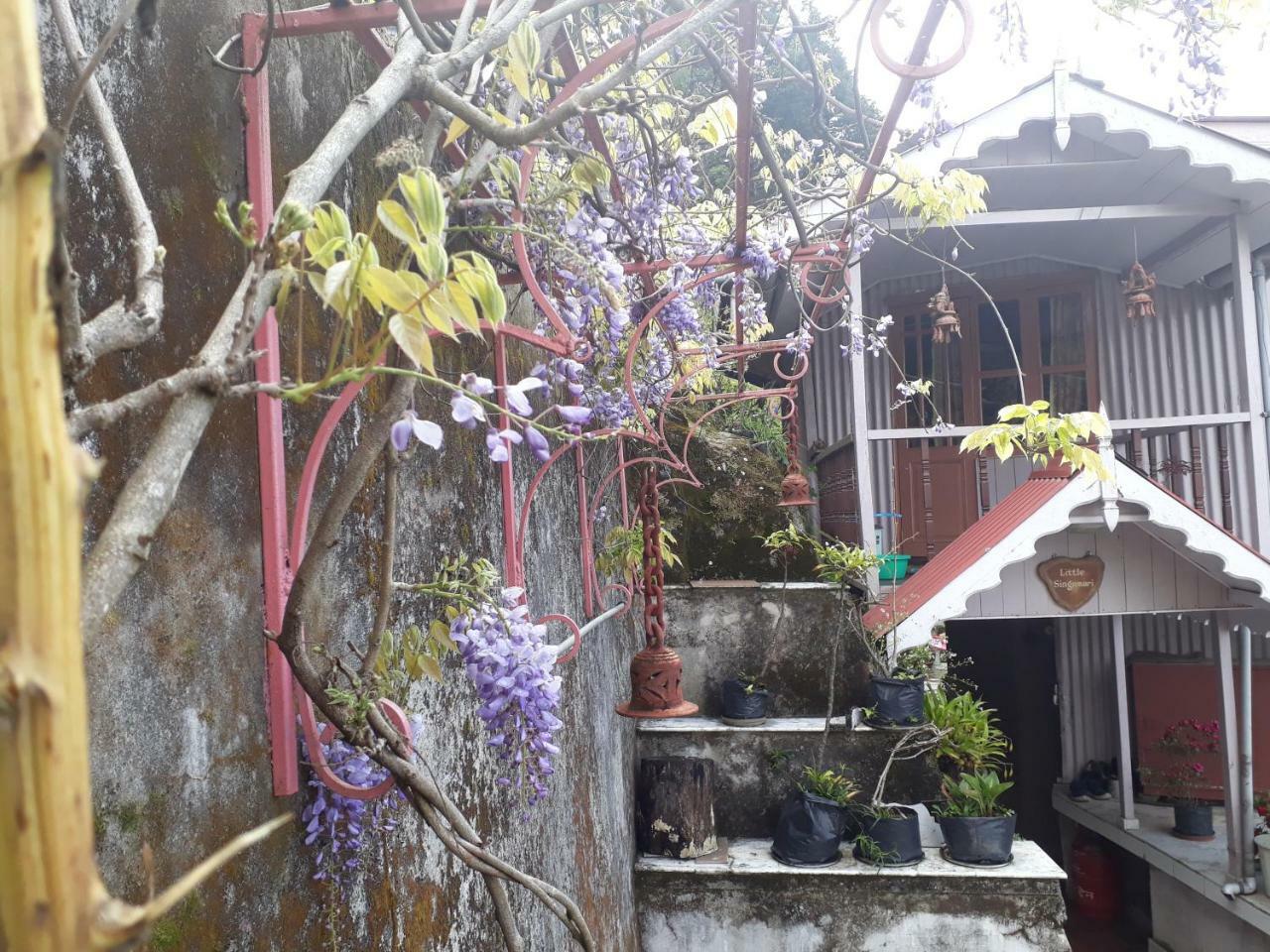 Little Singamari Home Stay Darjeeling  Eksteriør billede