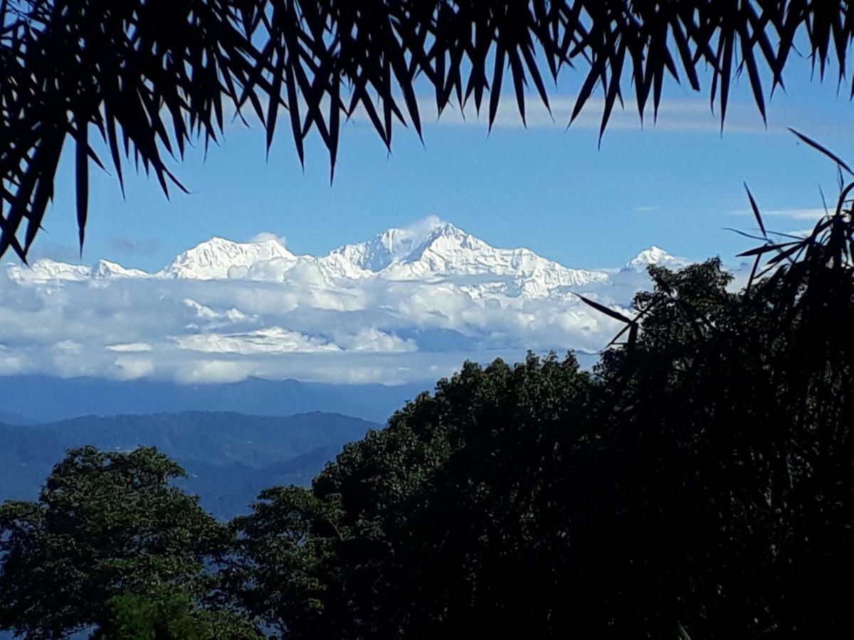 Little Singamari Home Stay Darjeeling  Eksteriør billede
